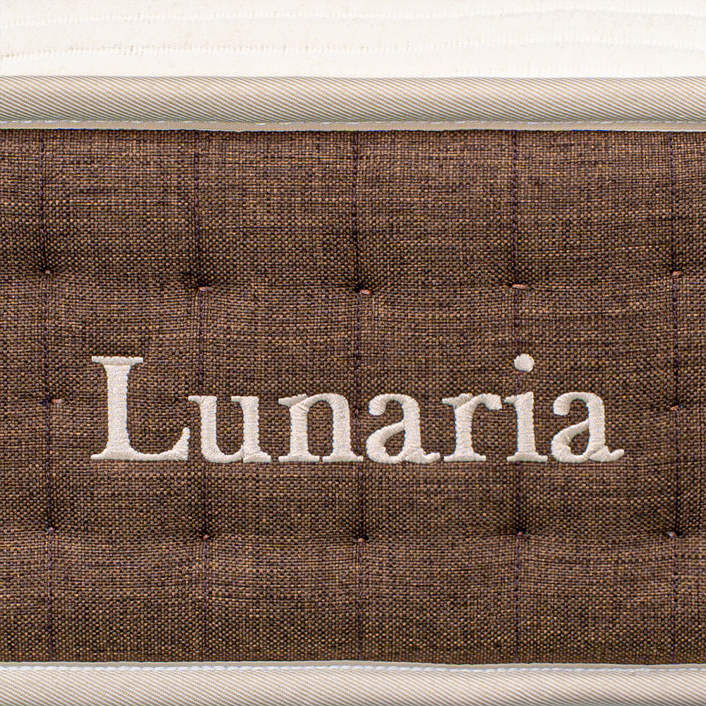 Lunaria profil