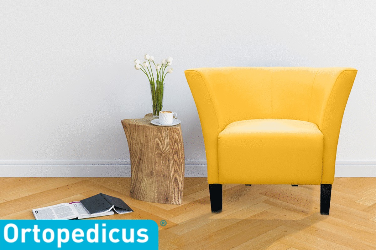 Ce Nu Lipseste Din Nicio Casa - Scaune Si Fotolii