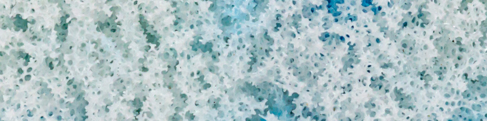 Latex Gel- 7 Zone De Confort